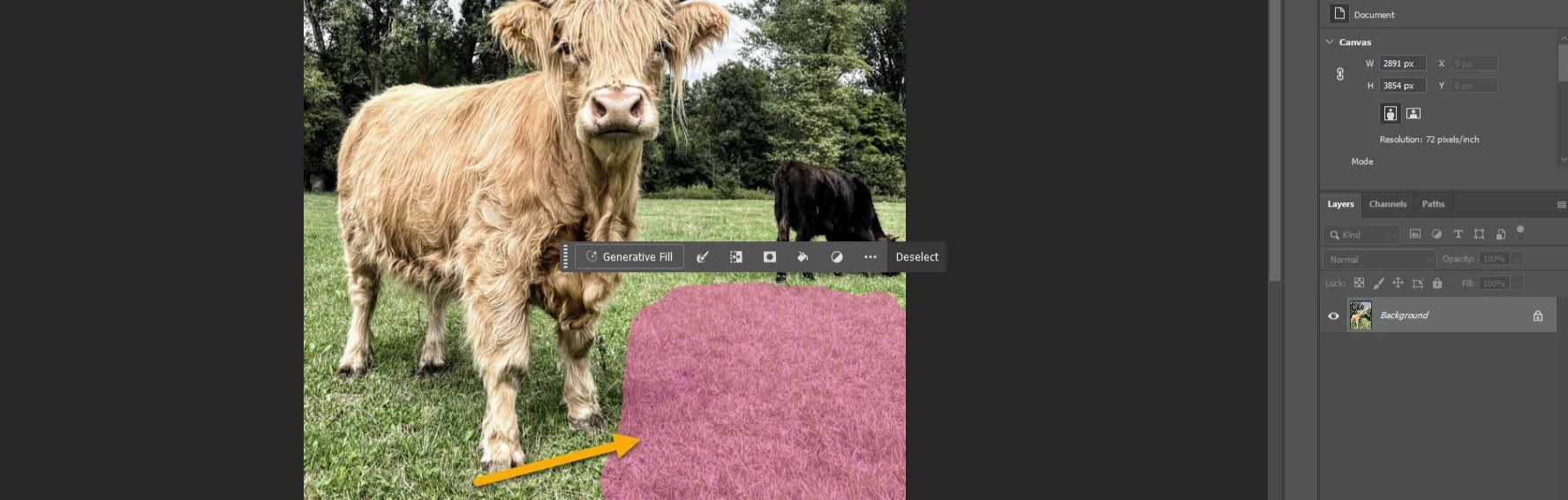 Photoshop 2025: Generative AI Made Easy for Beginners